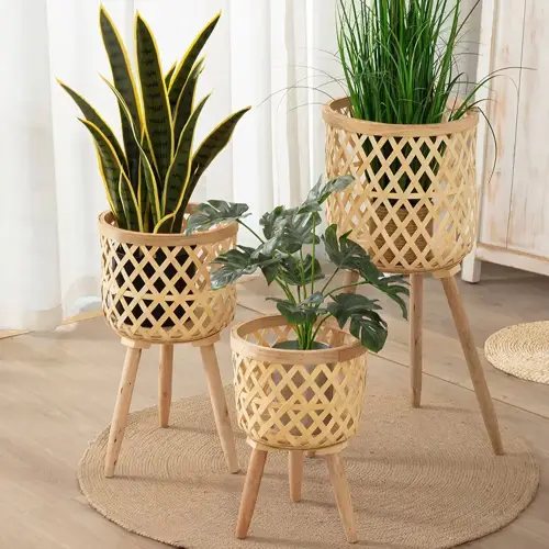 Rattan & Furniture
